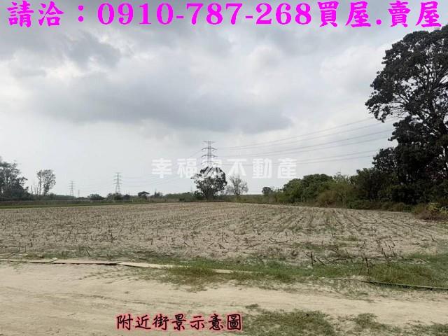 善化農地-9