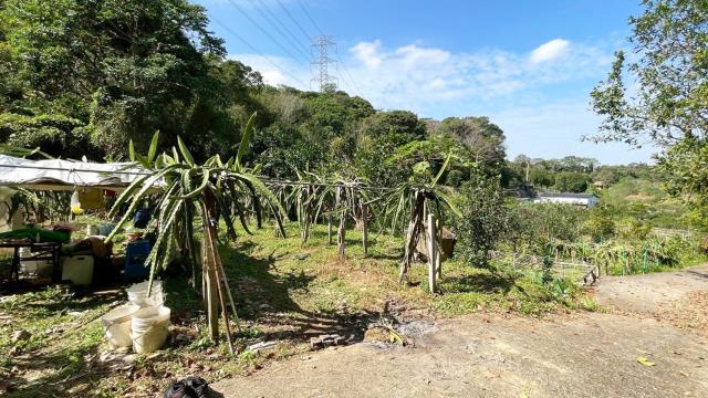 新竹峨眉農地-4