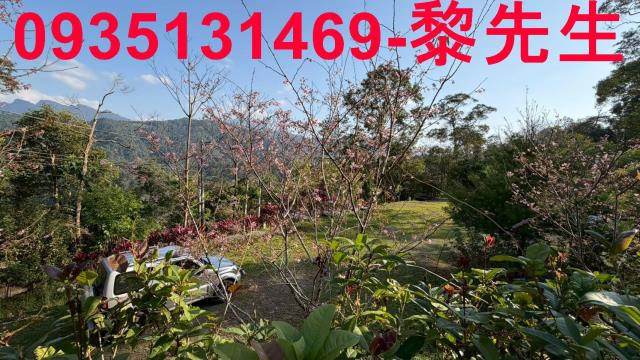 新竹北埔農地-10