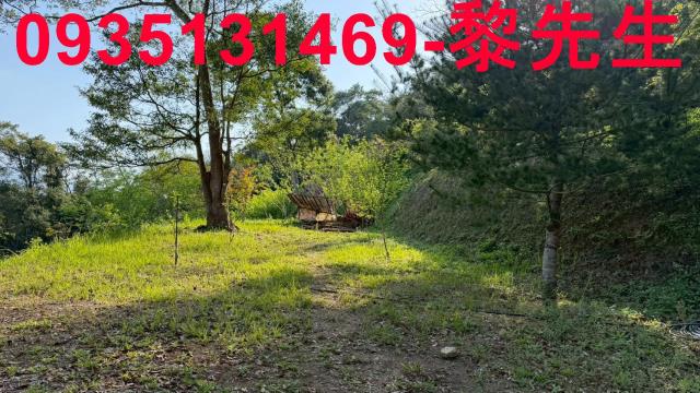 新竹北埔農地-4