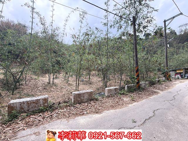 台南新化農地-4