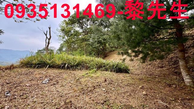 新竹北埔農地-12