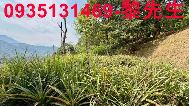 新竹北埔農地-2