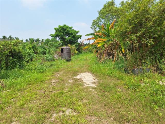 屏東竹田農地-6