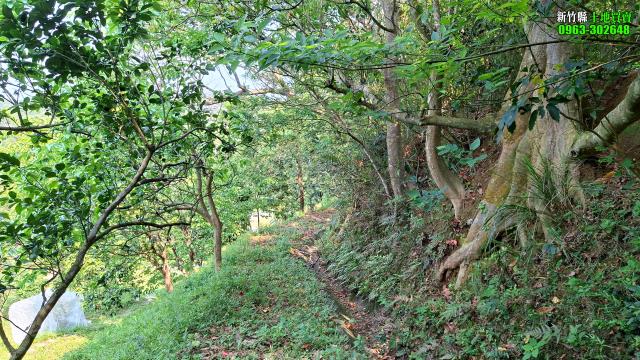 新竹峨眉農地-14