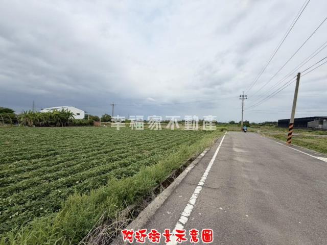 新化農地-10
