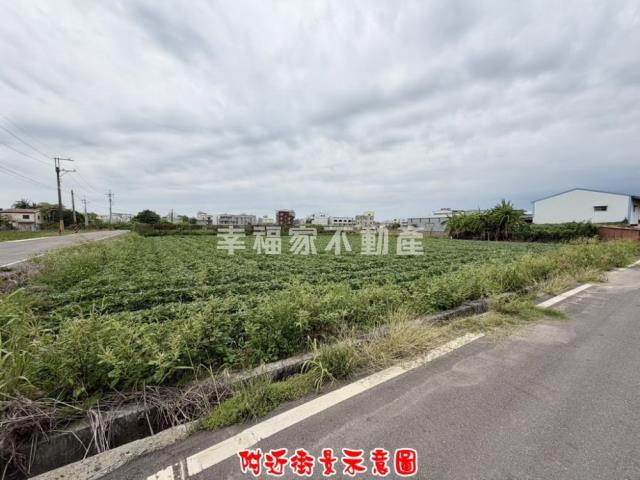 新化農地-2