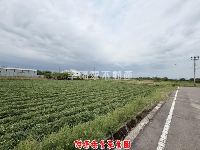 新化農地-4