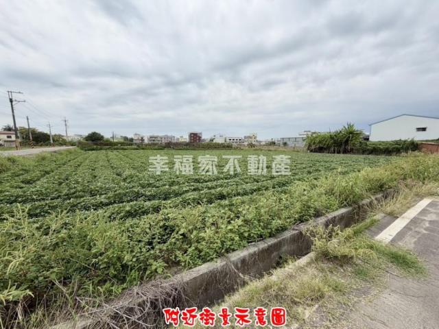 新化農地-5