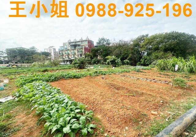 桃園中壢農地-1