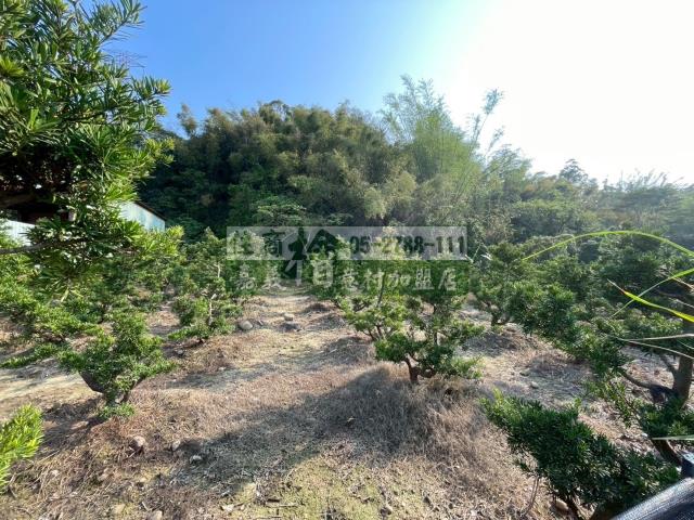 嘉義竹崎農地-11