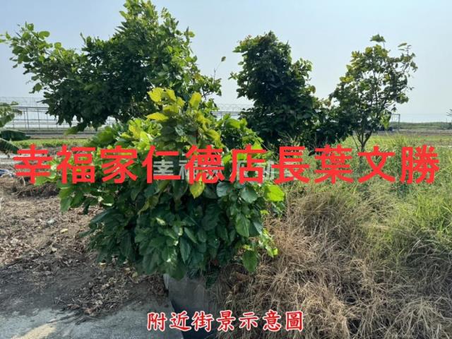 台南北區農地-3