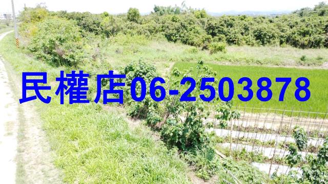 台南官田農地-4