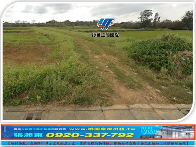 桃園觀音農地-1