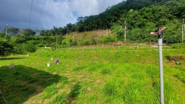 台中東勢農地-9