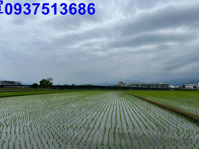 宜蘭宜蘭市農地-7