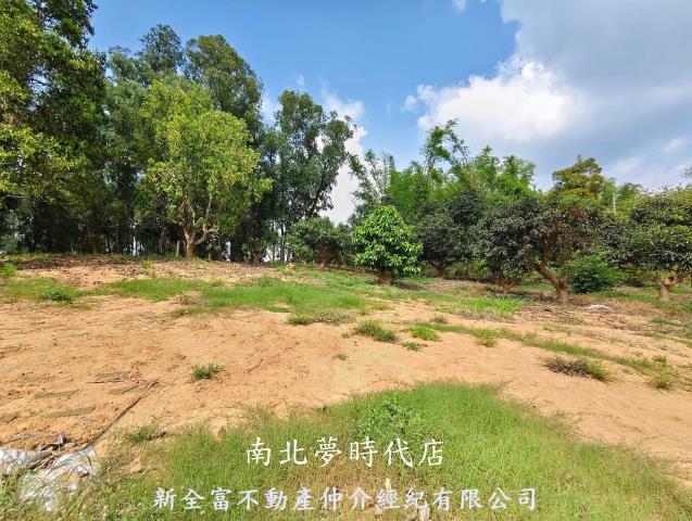 台南農地-14
