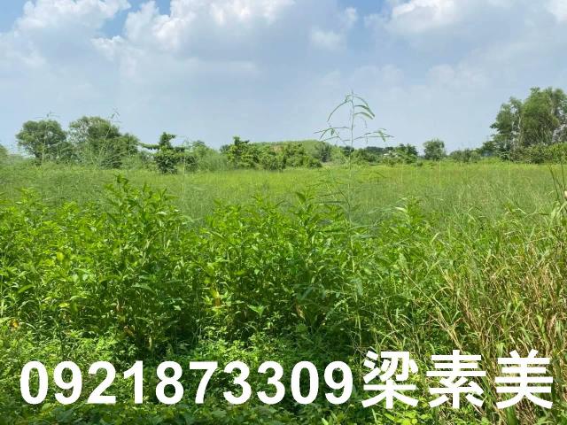 台南關廟農地-2