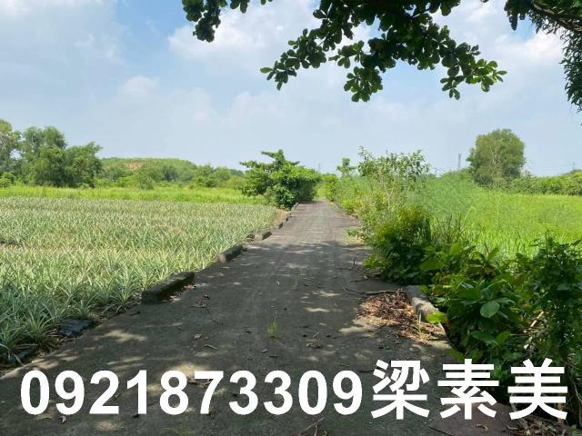 台南關廟農地-7
