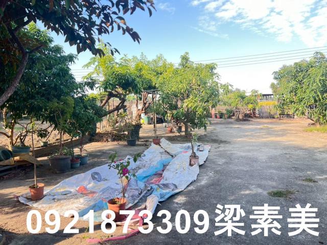 台南仁德農地-13