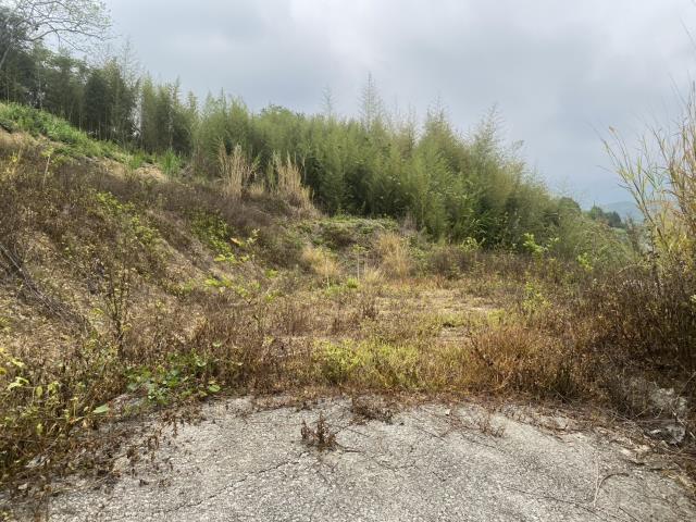 台中東勢農地-4