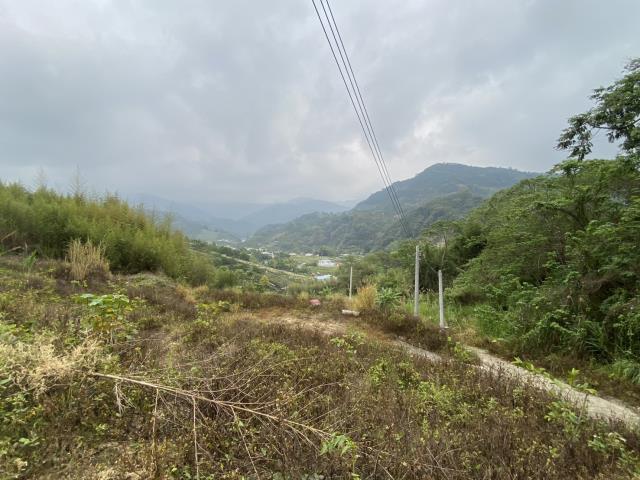 台中東勢農地-7