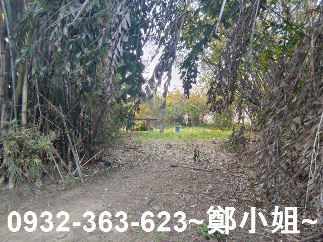 桃園桃園區農地-5