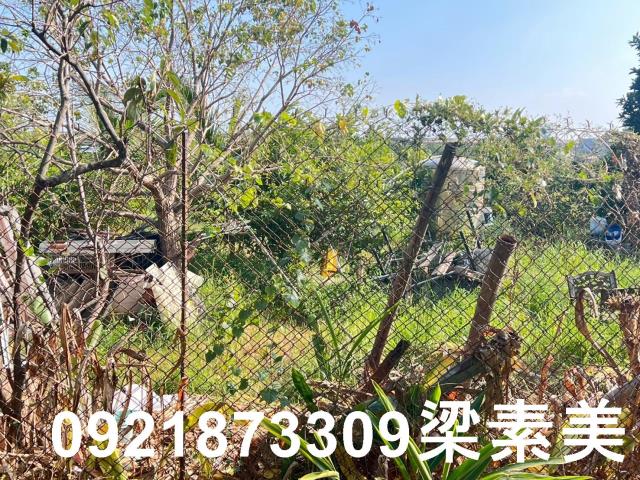 台南仁德農地-2