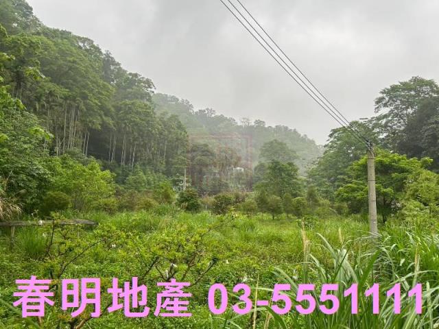新竹北埔農地-1