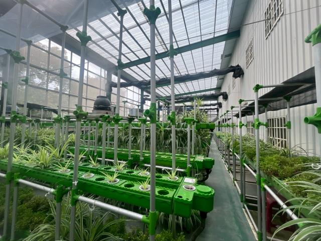 台中大雅農地-11