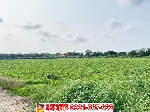 台南佳里農地-6