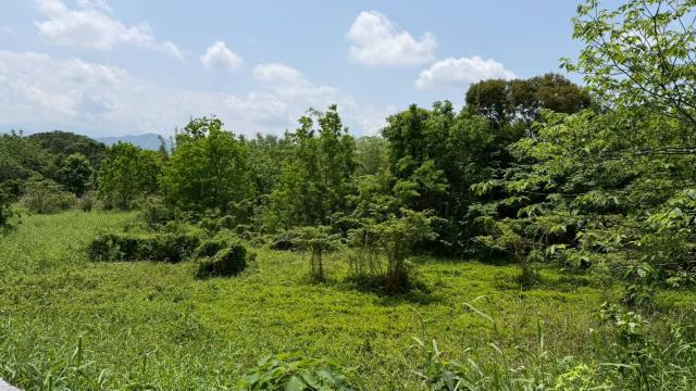芎林建地-5