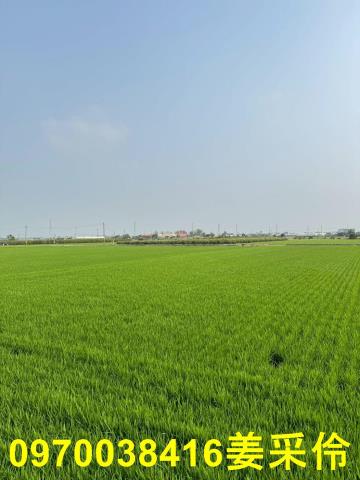 嘉義農地-6