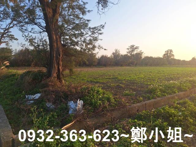 桃園觀音農地-9