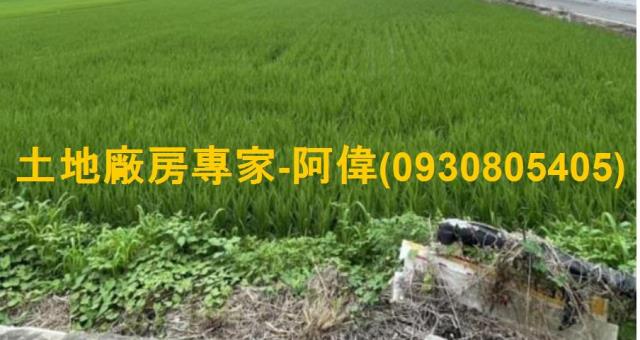 高雄大寮農地-1