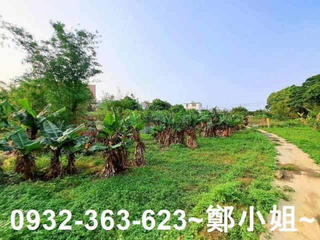 桃園平鎮農地-9