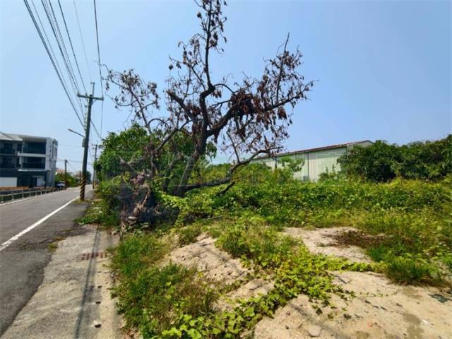 高雄湖內農地-10