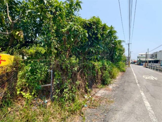 高雄湖內農地-2