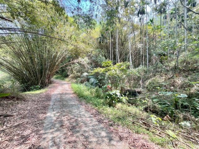 南投中寮農地-5