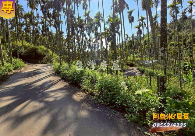 嘉義梅山農地-2