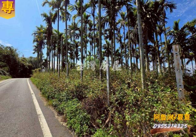 嘉義梅山農地-6