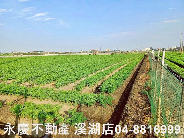 芳苑農地-6