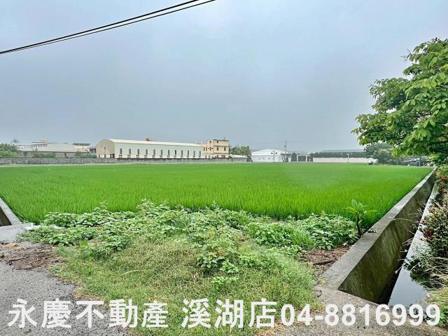秀水農地-1