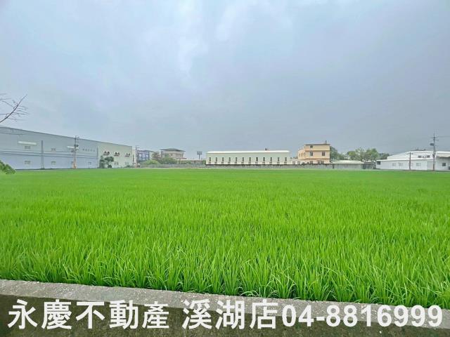 秀水農地-4