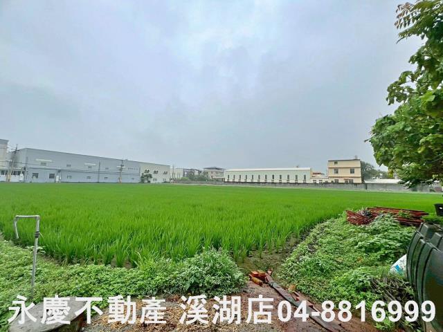 秀水農地-6