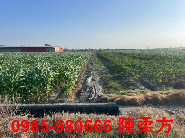 六腳農地-2