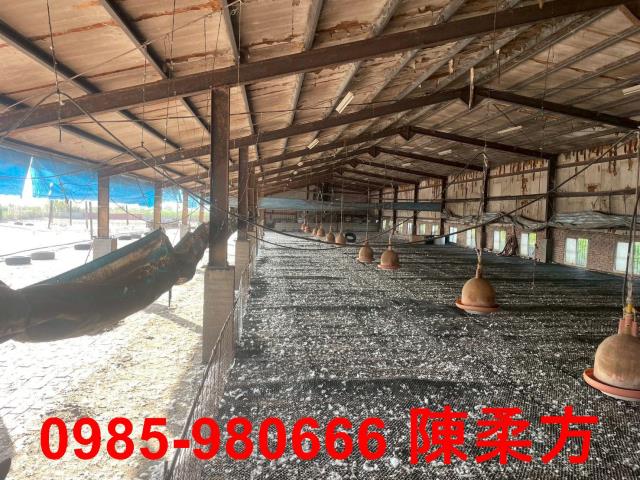 六腳農地-9