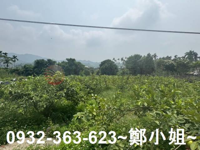 南投竹山農地-5