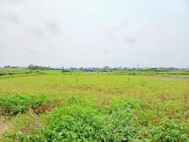 桃園觀音農地-2