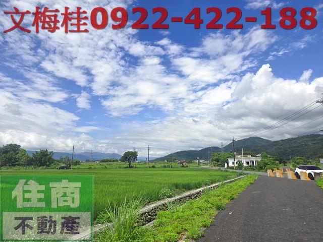 宜蘭員山農地-8